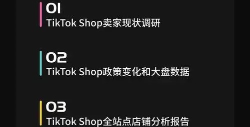 TikTok带货实战：2025年新手卖家转化率提升指南