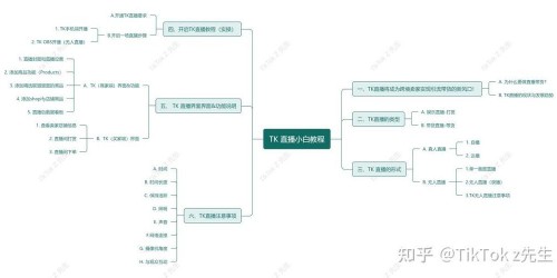 东南亚TikTok带货实战指南：提升转化率的7步完整教程