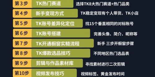 2025年TikTok社交媒体带货实战指南与趋势解析