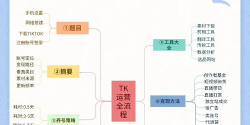 揭秘2025年TikTok带货高转化率的5个关键步骤