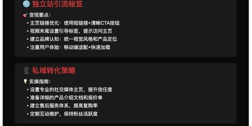 TikTok带货实战指南：7天从0到100单，新手也能快速上手