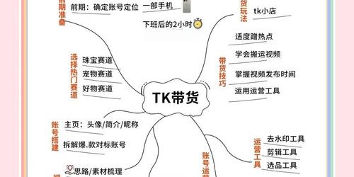跨境电商新手必学：TikTok带货实战指南与2025年趋势解析