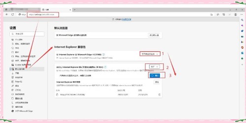 浏览器工具在选品分析中的应用：5步实战教程