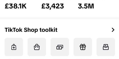 2025年TikTok短视频带货成功案例深度解析