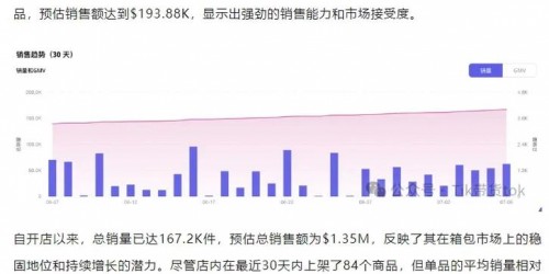 TikTok带货成功案例：新手卖家30天实现10万销售额实战解析