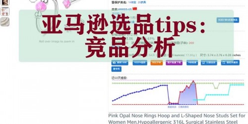 浏览器插件助力亚马逊选品分析的5个高效技巧