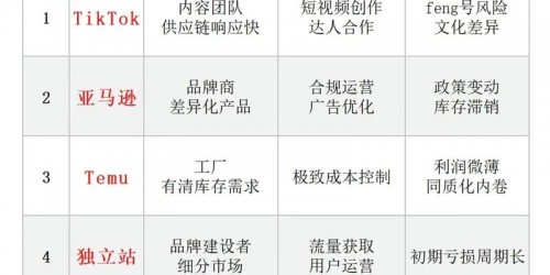 主流跨境电商平台2025年选品运营对比实战指南