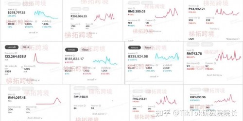 从0到月销50万：TikTok带货成功案例全解析