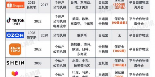 2025年TikTok与Instagram带货效果对比实战解析