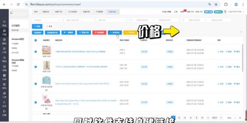 亚马逊选品从0到100单：浏览器工具实战案例解析