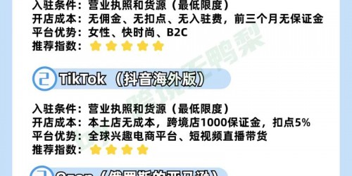跨境电商卖家必读：5大平台精准引流与转化提升实战指南