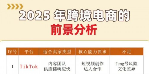 2025年五大主流平台：从选品到运营的实战对比指南