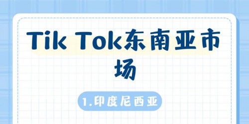东南亚TikTok带货实战：3个月实现GMV增长200%的完整案例解析