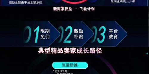 跨境电商卖家如何利用Shopee和TikTok Shop进行高效选品与引流？