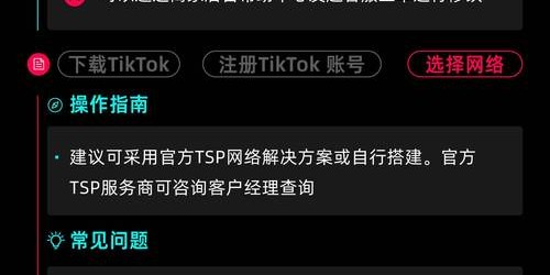 TikTok Shop爆款案例：新手卖家3个月从0到月入50万实操指南