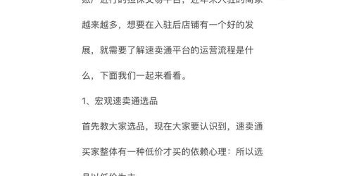 速卖通新手90天实战指南：从选品到销售额破万的完整案例