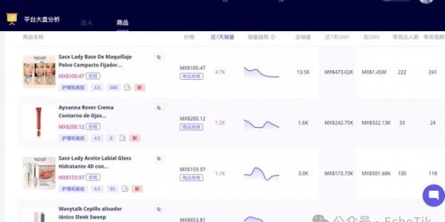 从小众到爆款：3个月300万销售额的TikTok真实案例