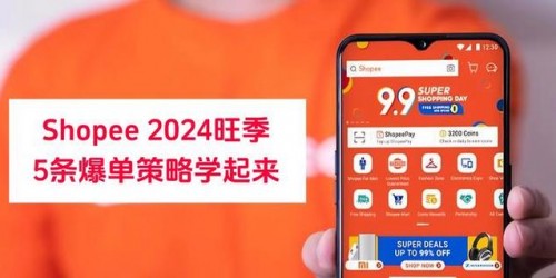 深度解析：Shopee店铺旺季销售额翻倍的实战案例