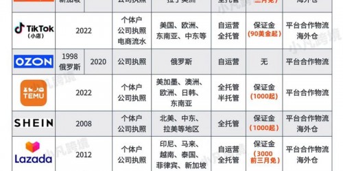 TikTok vs Instagram：跨境卖家2026年带货效果对比