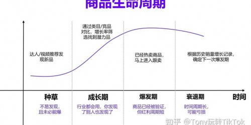 从0到爆单：亚马逊选品与TikTok带货案例全解析