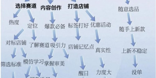 如何构建亚马逊、速卖通、Shopee与TikTok全平台运营策略