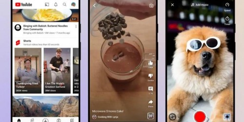 从0到10万单：TikTok、Reels、Shorts带货渠道深度对比