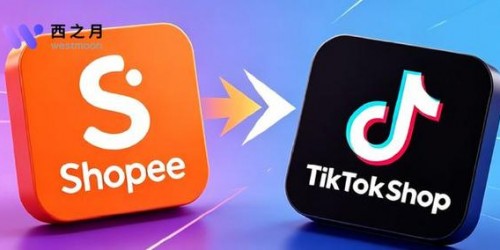 Shopee店铺 vs TikTok带货：哪个浏览器插件更实用？