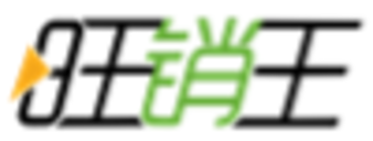 旺销王ERP